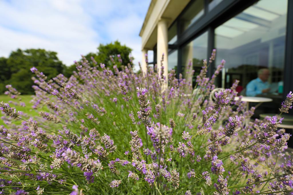 Hotel Du Vin Cannizaro House Wimbledon London Exterior photo